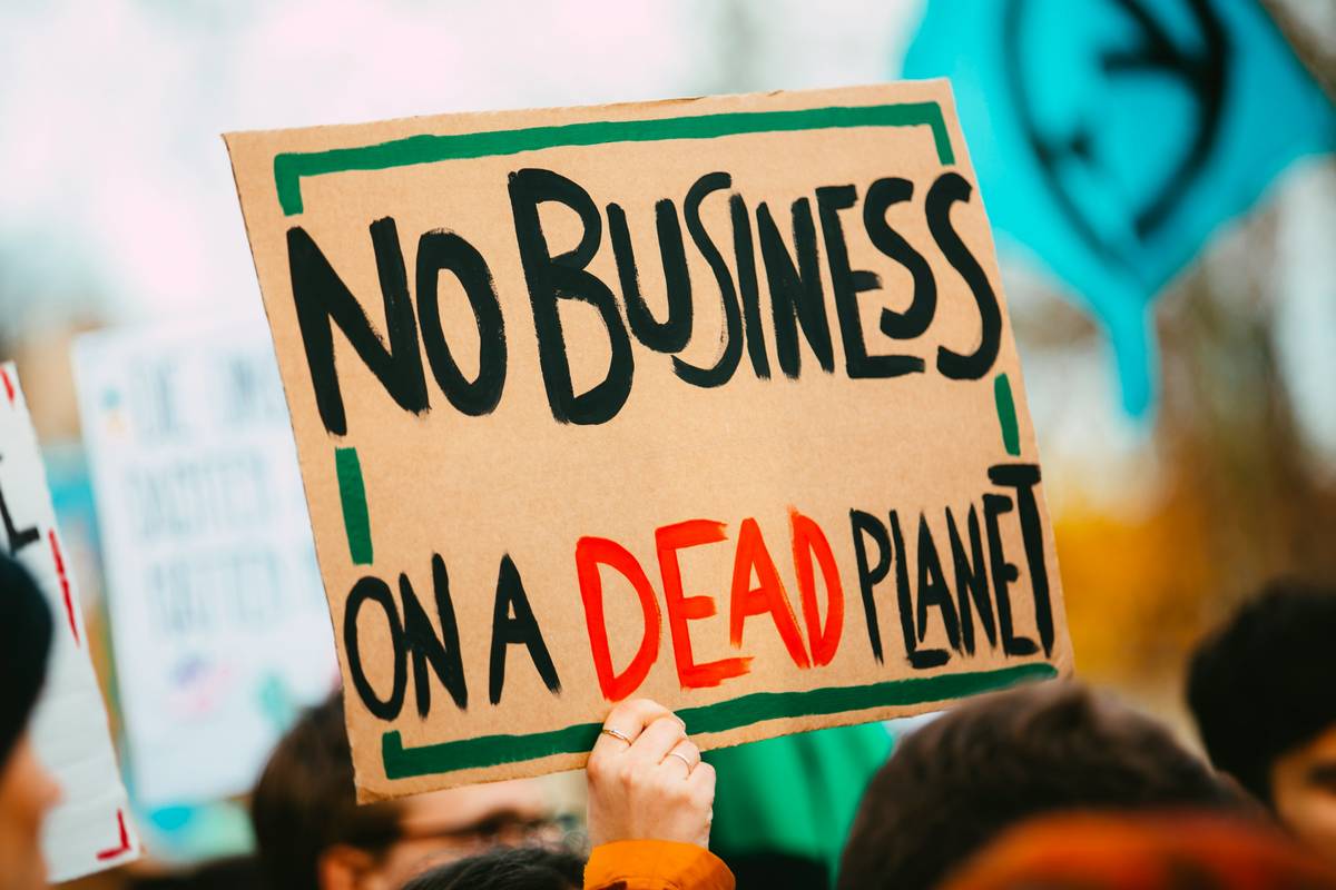 ethical branding green what is basi workflow for sustainable brand strategy