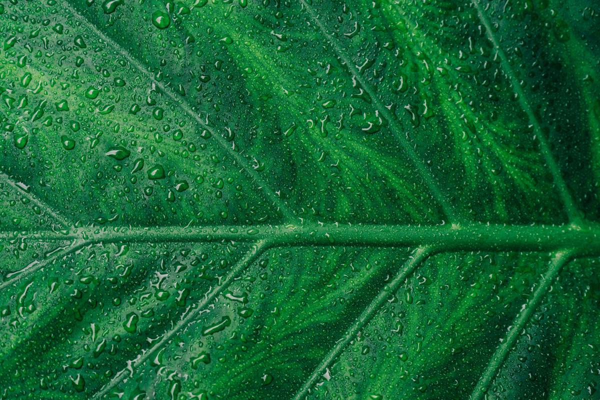 Neuromarketing research showing the color green in marketing reduces perceived wait time