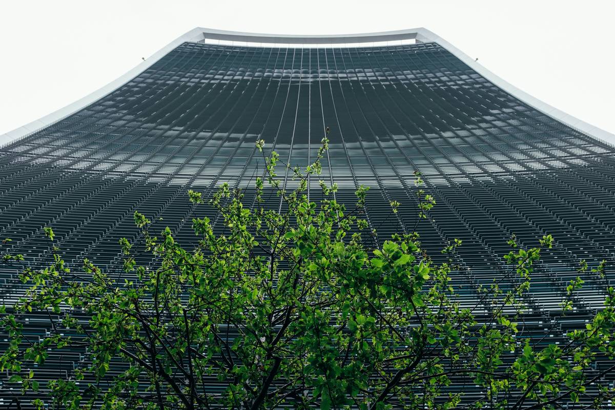Sustainable Marketing: Green Is a Part—Not the Whole Story