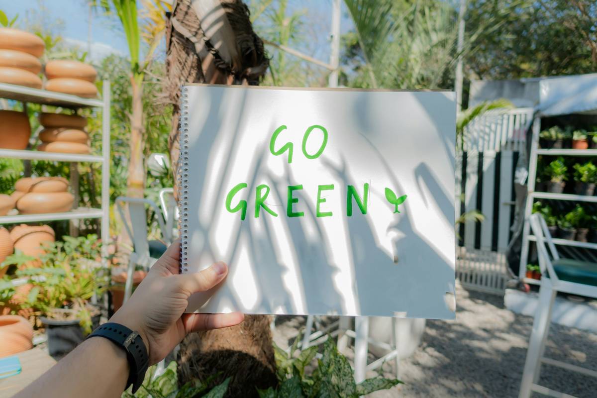 sustainable marketing green what is basi